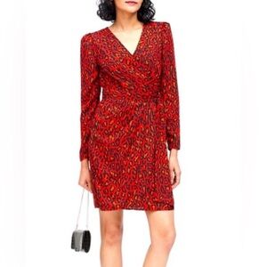 Banana Republic Animal Print Wrap Dress Size 4